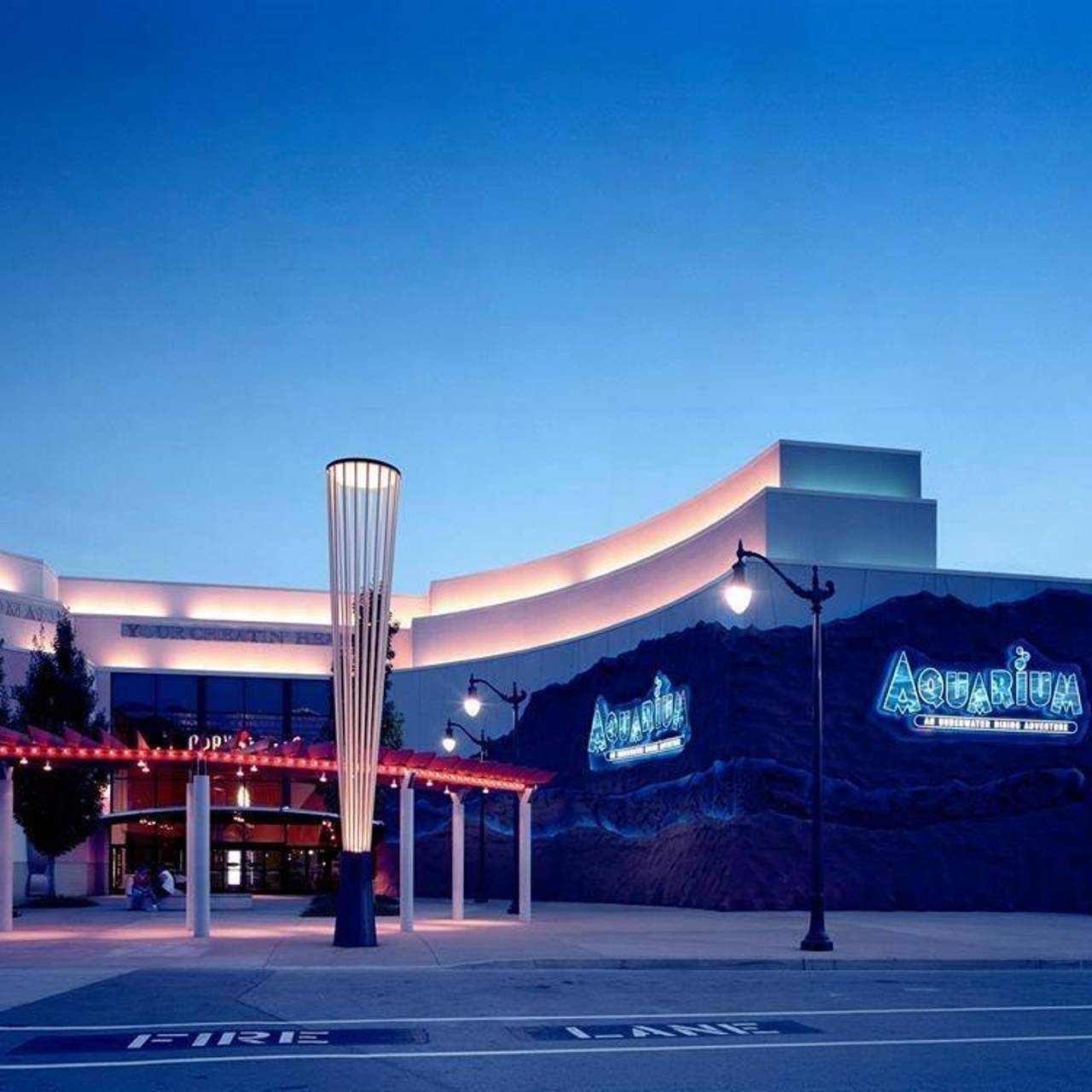 Aquarium Restaurant - Opry Mills - Nashville, TN | OpenTable