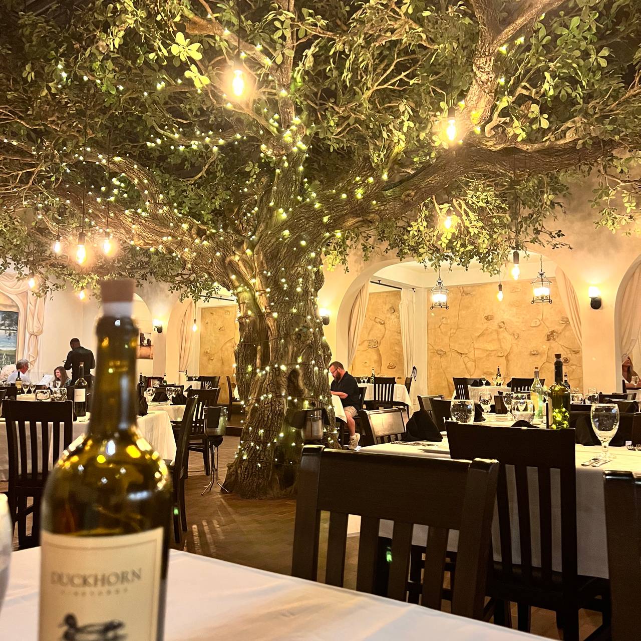 Firefly Panama City Beach Restaurant Panama City Beach FL OpenTable