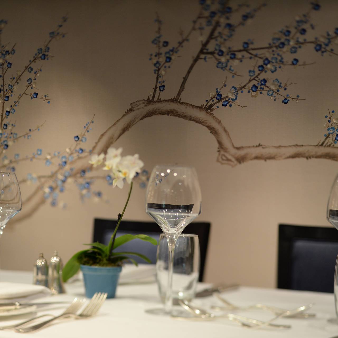 The Dower House Royal Crescent Hotel Restaurant Bath Somerset The Dower House Royal Crescent Hotel Restaurant Bath Somerset Opentable