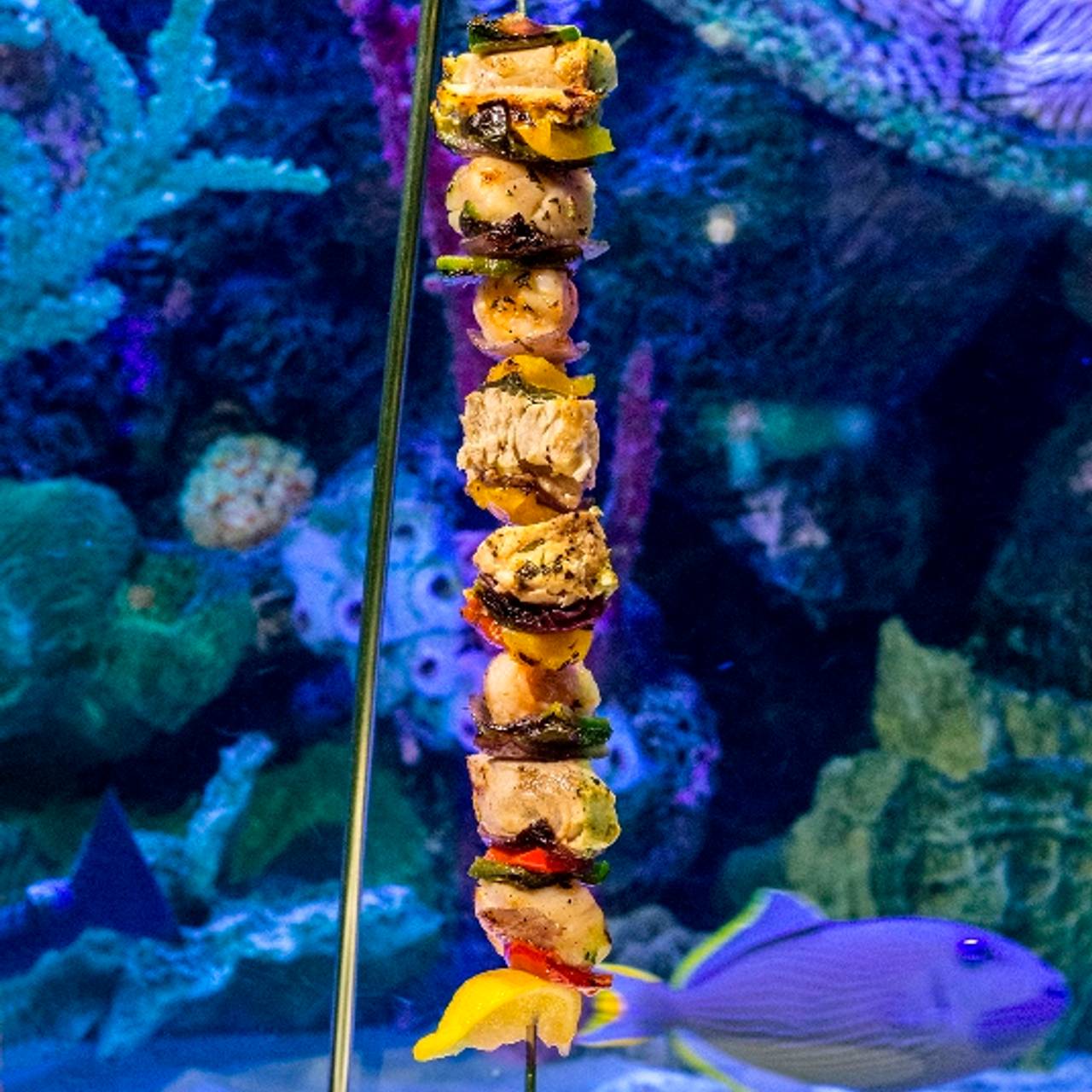 Rumfish Grill Restaurant St Pete Beach Fl Opentable Rumfish Grill St Pete Beach Fl