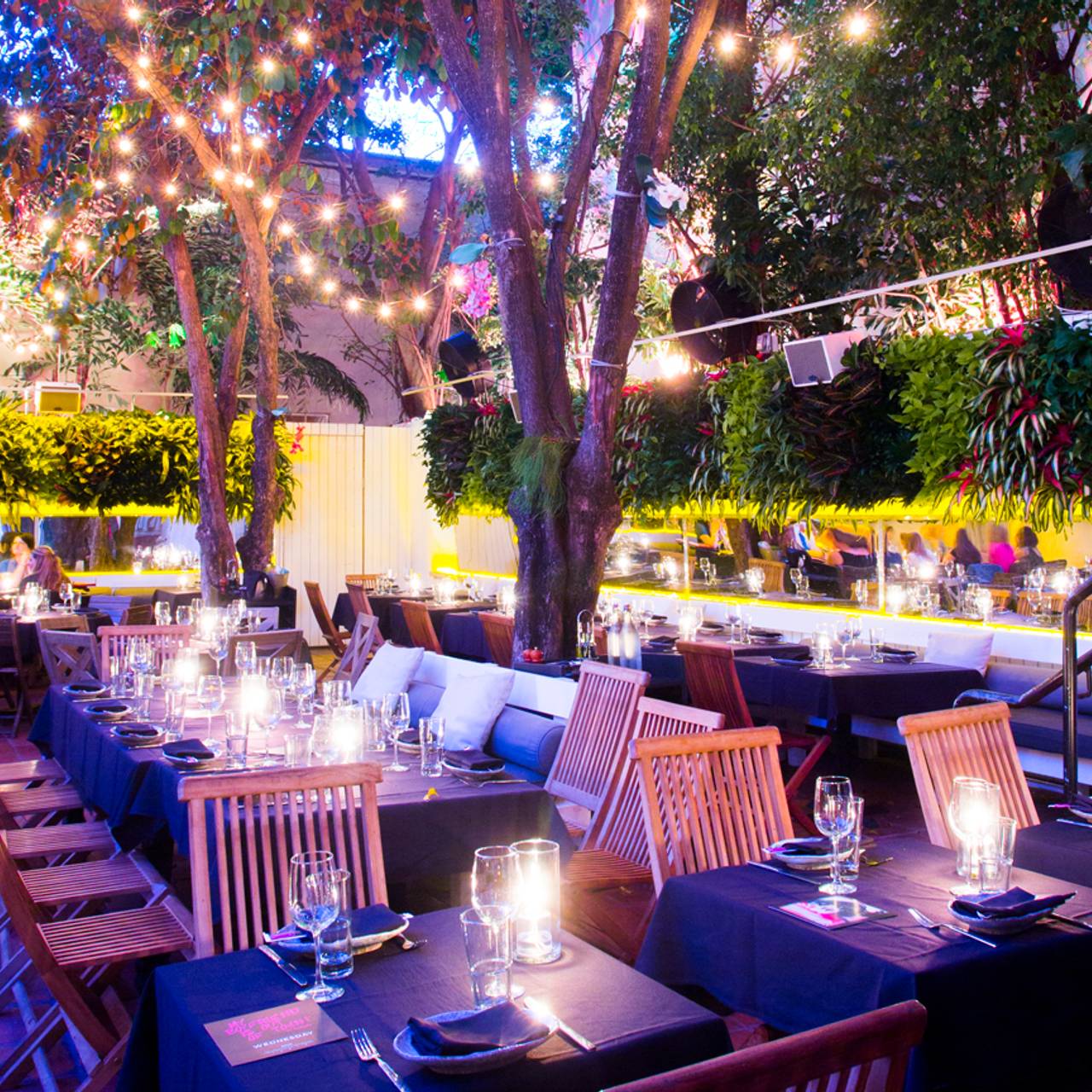 Bâoli Miami Restaurant Beach Fl Opentable