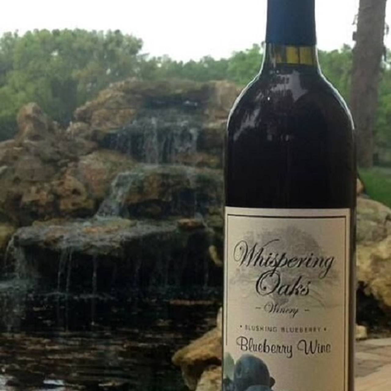 Whispering Oaks Winery >> Whispering Oaks Winery Restaurant Oxford Fl Opentable Whispering Oaks Winery >> Whispering Oaks Winery Restaurant Oxford Fl Opentable