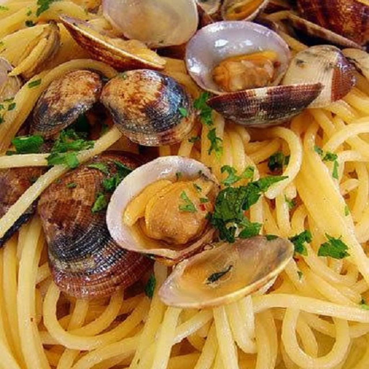 Il Toscano Ristorante Italiano Pembroke Pines Restaurant Il Toscano Ristorante Italiano Pembroke Pines Fl