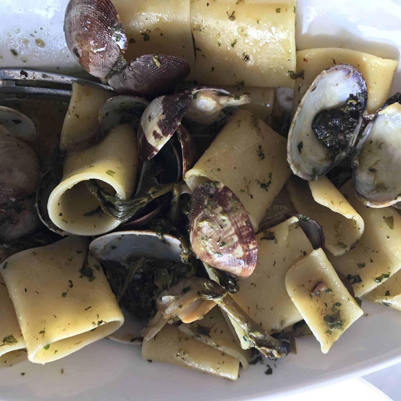 Gol Ristorante Pizzeria Restaurant Miami Fl Opentable