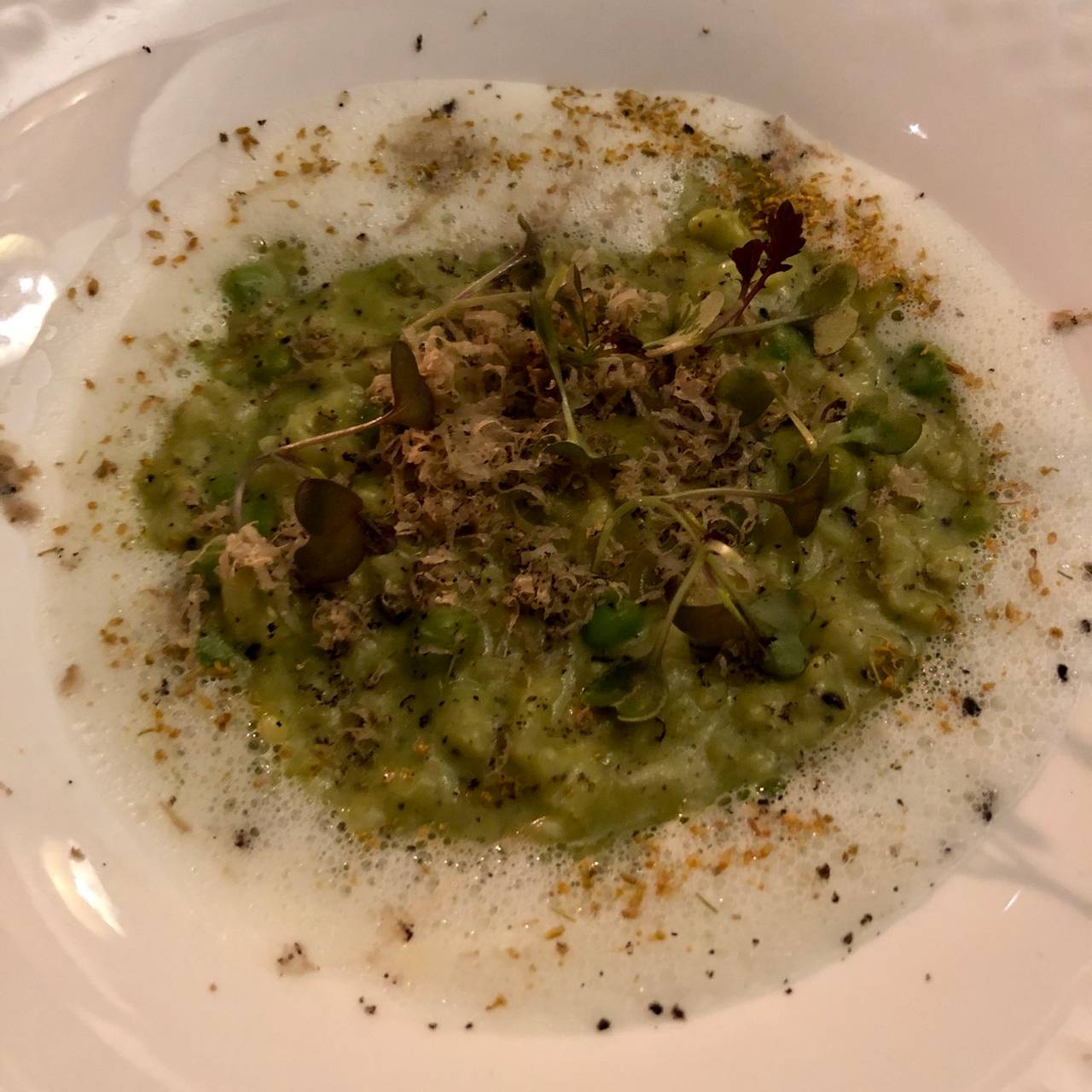 Fairmont Sonoma Mission Inn Good Neighbor Program Charlotte Fairmont Sonoma Mission Inn Good Neighbor Program Charlotte