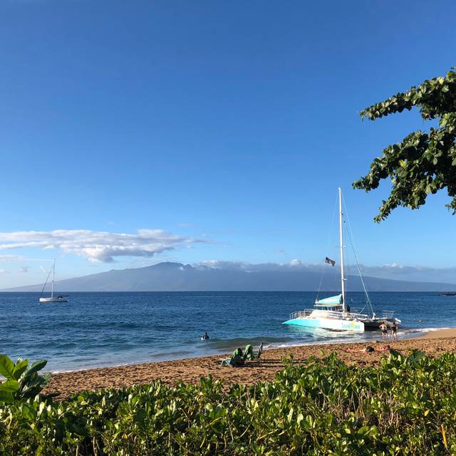 Monkeypod Kitchen By Merriman Whalers Village Restaurant