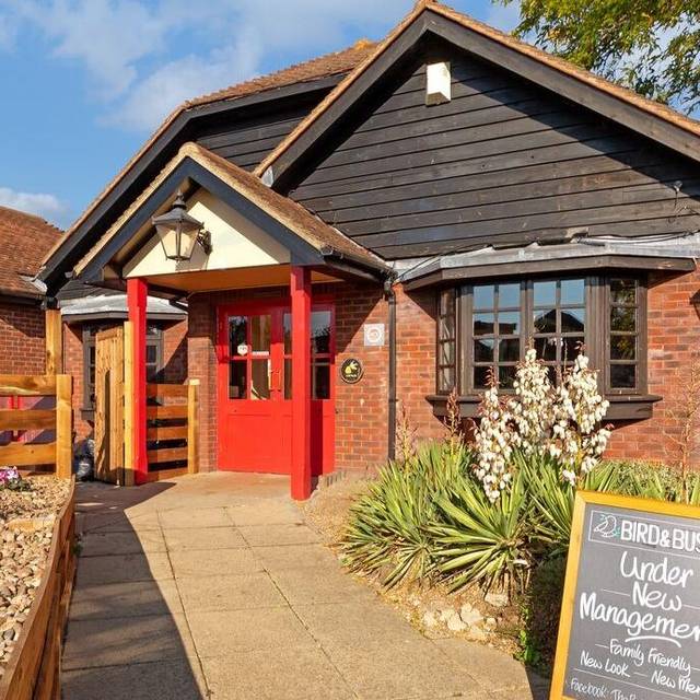The Bird & Bush Updated 2024, British Restaurant in Luton, ENG