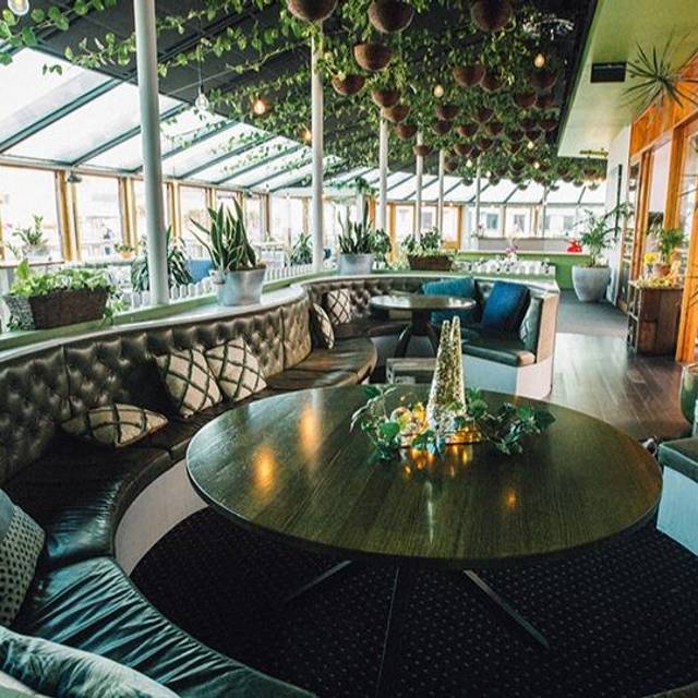 The Glasshouse Hotel Steyne Updated 2024, Bar And Lounge in Sydney, NSW