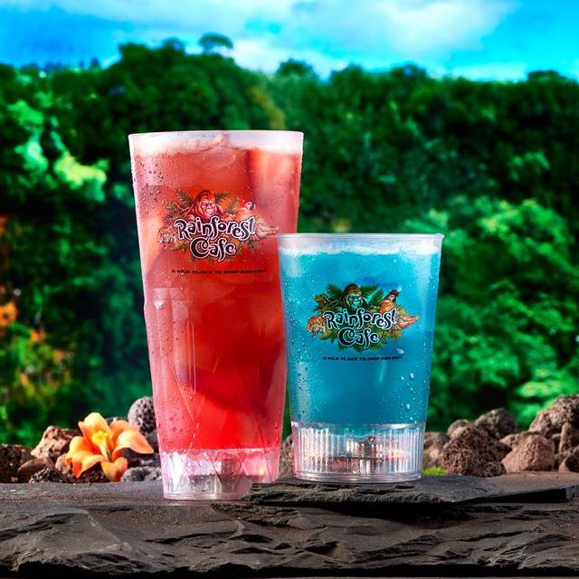 Rainforest Cafe Mall Of America Restaurant Bloomington Mn Opentable