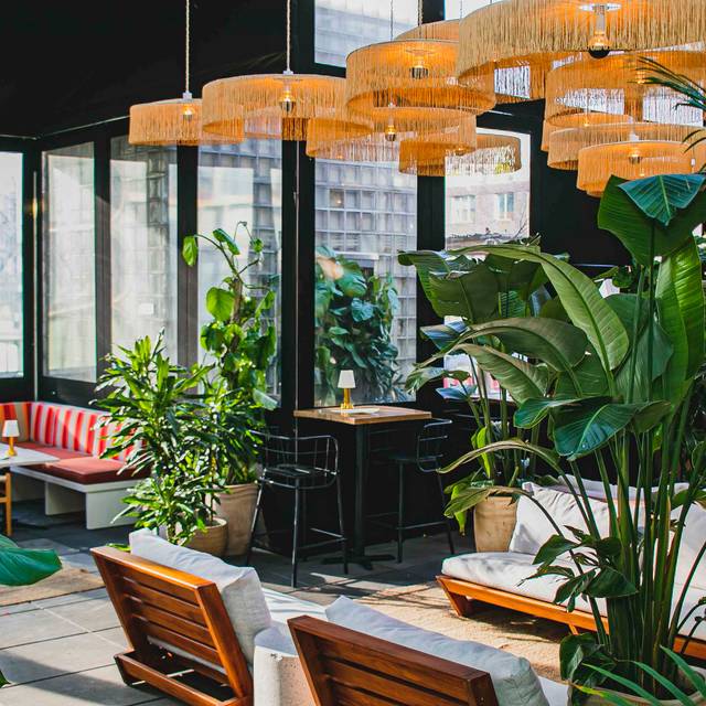 Creatures Rooftop Restaurant - New York, NY | OpenTable
