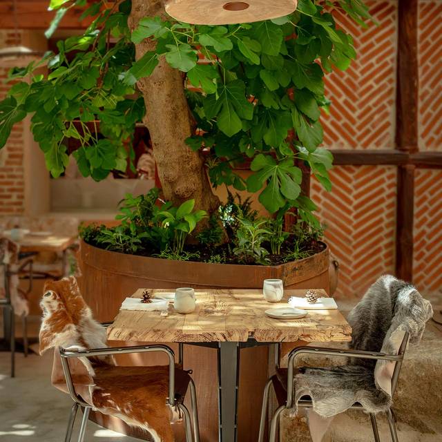 Restaurante Montia San Lorenzo De El Escorial MD OpenTable