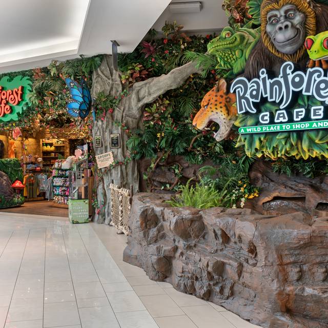 Restaurante Rainforest Cafe Mall Of America Bloomington, , MN
