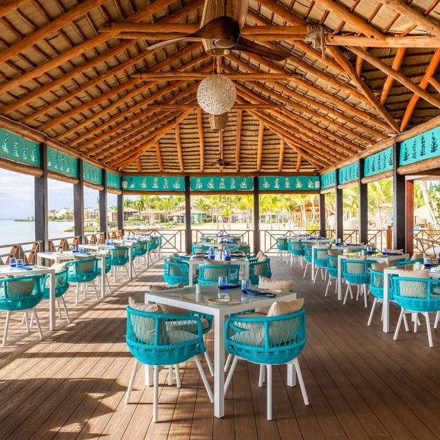 Blue Marlin, Seafood Specialties Restaurant - Punta Cana, La Altagracia