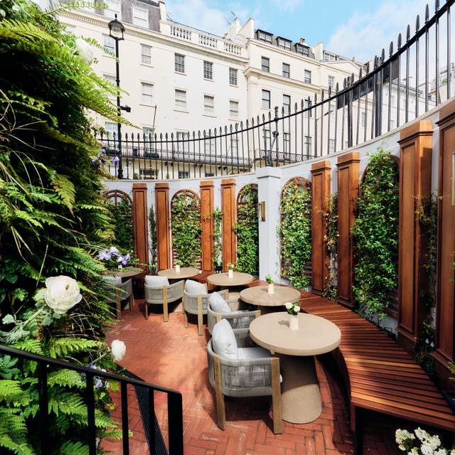 Chesham Lounge Terrace Belgravia Restaurant London, Greater