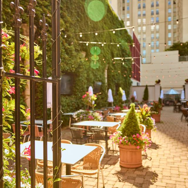 Edera Italian Eatery Restaurant Saint Louis, MO OpenTable