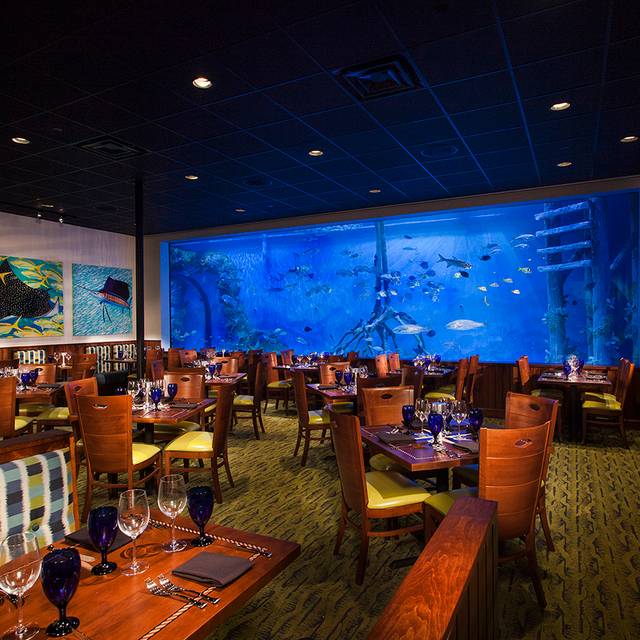 RumFish Grill Restaurant - St. Pete Beach, FL | OpenTable