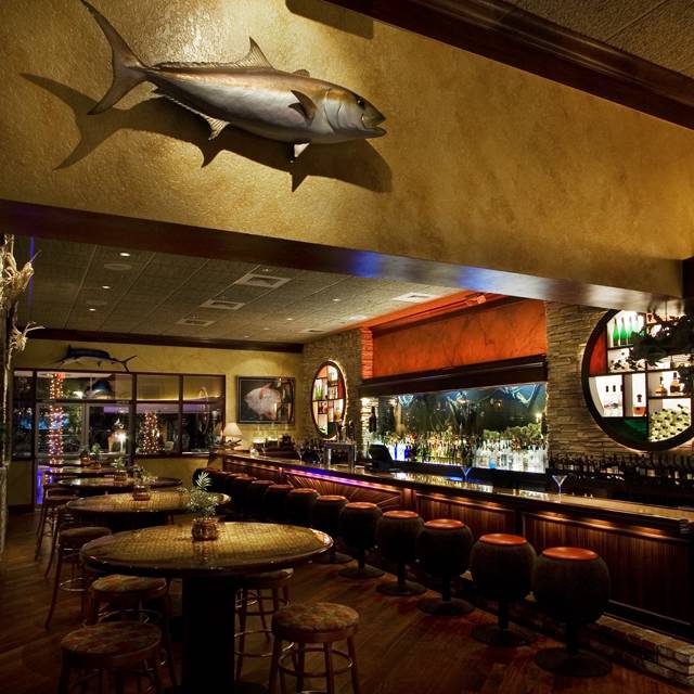 Fishbones Lake Mary Restaurant Fl Opentable Fishbones Lake Mary Fl