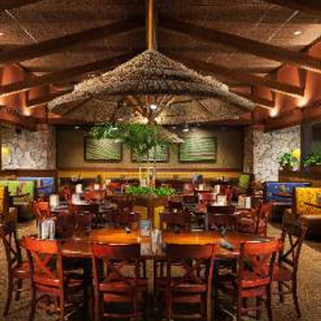 10 Restaurants Near Princeton University Opentable Bahama Breeze Princeton