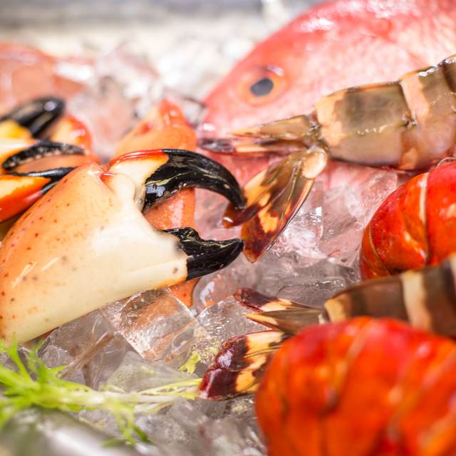 Iglo premium feinschmecker filet branzino fish recipes Iglo premium feinschmecker filet branzino fish recipes