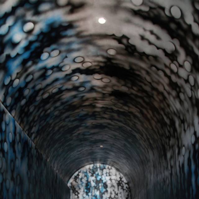 Sacred Pepper Restaurant Tampa, FL OpenTable