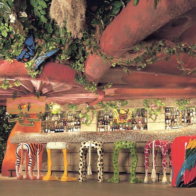 Rainforest Cafe, London London, OpenTable