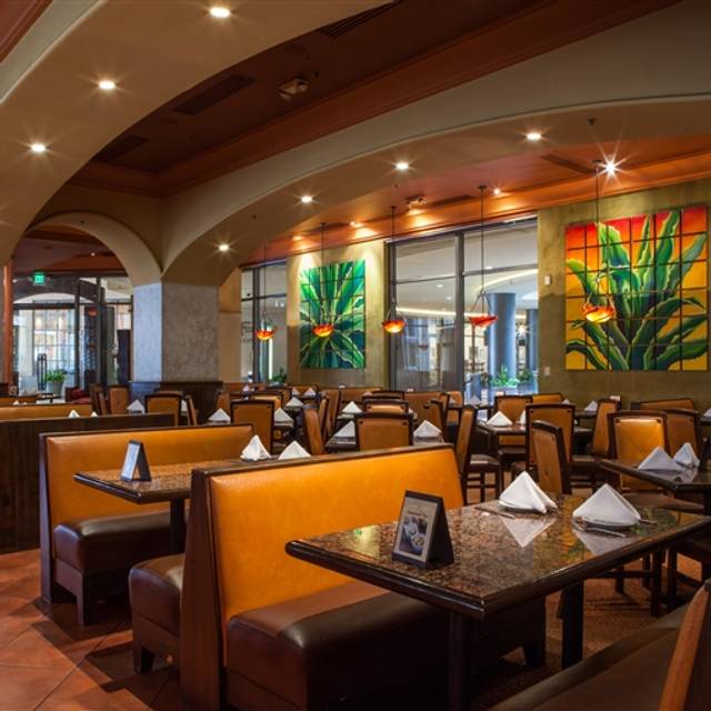 El Torito Grill - Irvine Restaurant - Irvine, CA | OpenTable