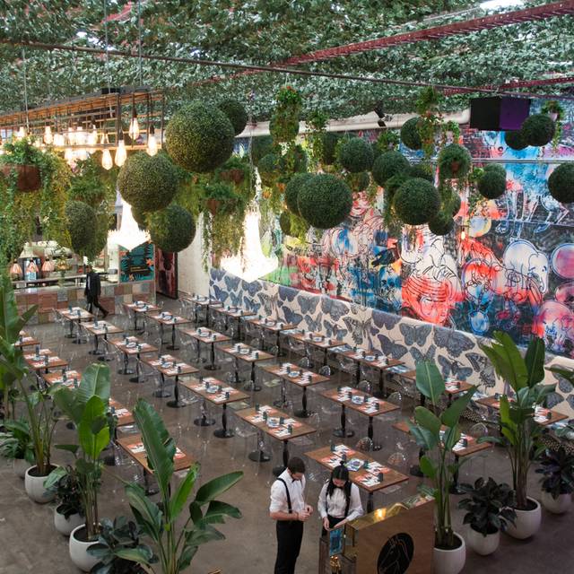 Fitzroy Social, Fitzroy, AU-VIC