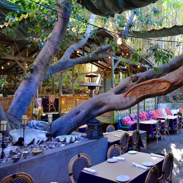 美国赴美生子妈妈们可以去哪里过节 情人节来了你准备好了吗? 24875452 - 美国赴美生子妈妈们可以去哪里过节 情人节来了你准备好了吗?