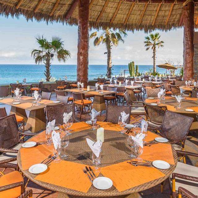 Pitahayas Restaurant Cabo San Lucas, BCS OpenTable