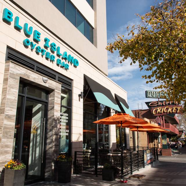 Blue Island Oyster Bar Seafood Denver CO OpenTable   24930580 