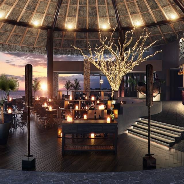 Pitahayas Restaurant Cabo San Lucas, BCS OpenTable