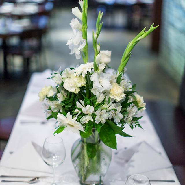 Blue moose lenexa coupons