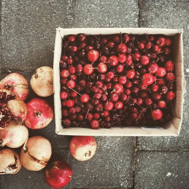 Harvest Kitchen Vine Vale, AUSA OpenTable