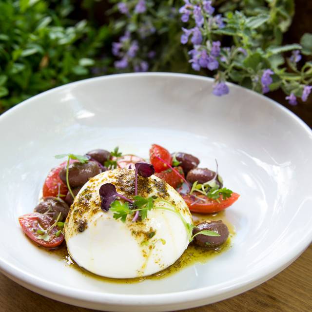 Cibo e Vino Restaurant New York, NY OpenTable