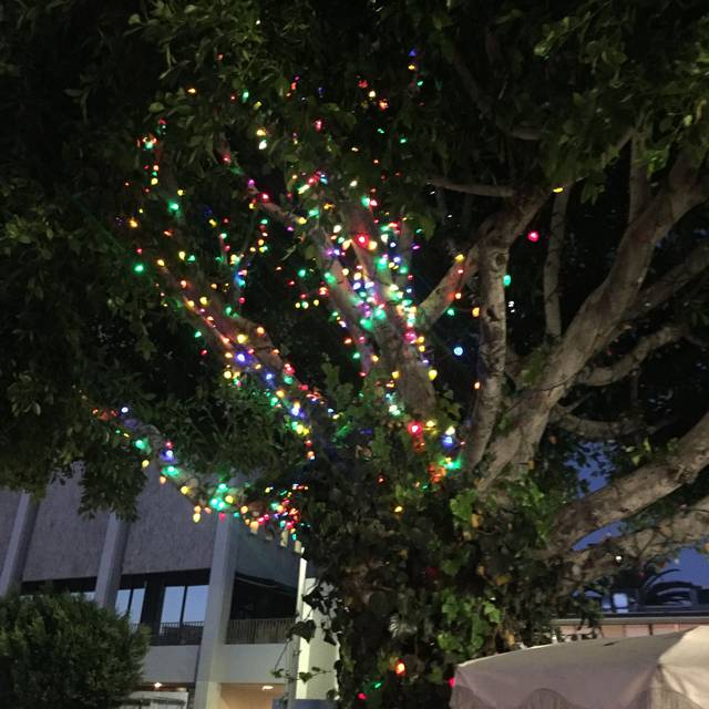 The Ivy West Hollywood Restaurant Info Reviews Photos Kayak