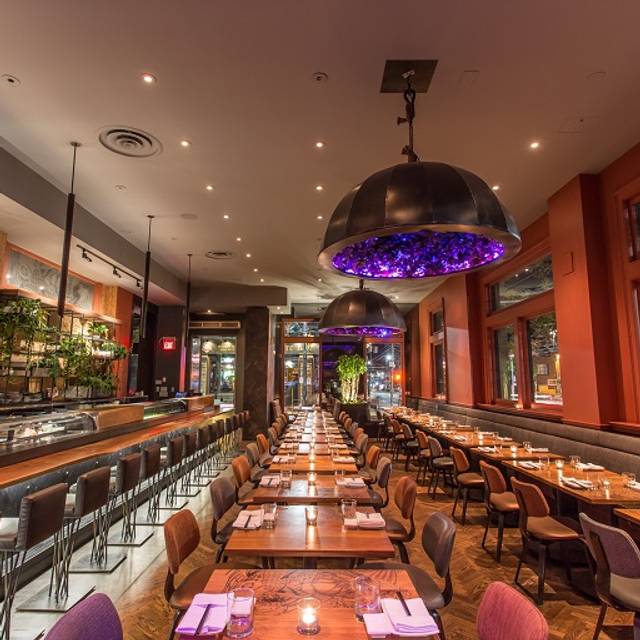 Blo bar coupons toronto