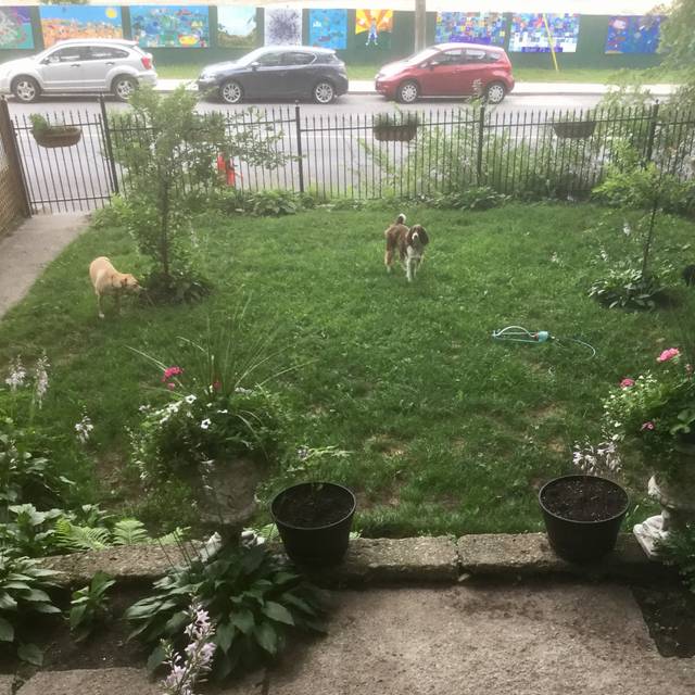 Cluny Toronto, ON OpenTable