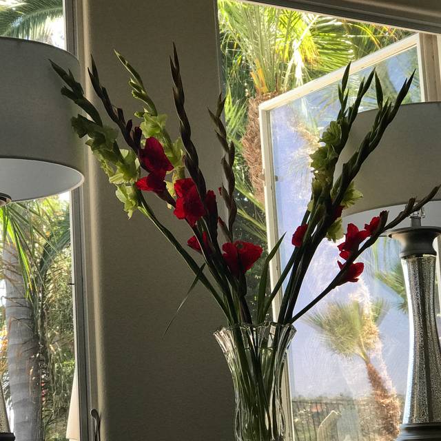 Rocco's Restaurant, San Clemente. Restaurant Info, Reviews, Photos KAYAK