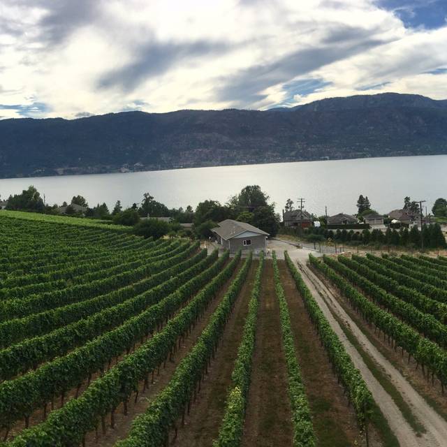 Grapevine Restaurant and Patio at Gray Monk Estate Winery Lake