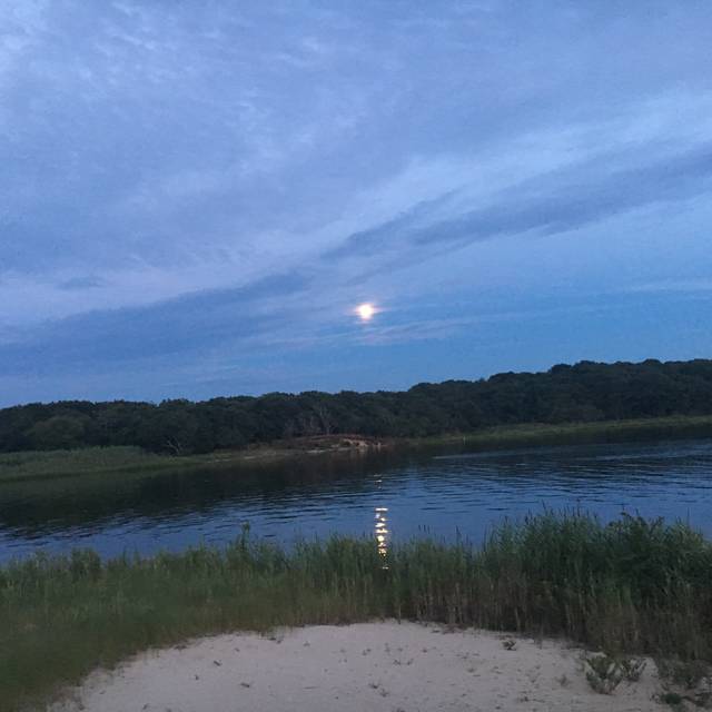 Trumpets on the Bay Restaurant Eastport, NY OpenTable