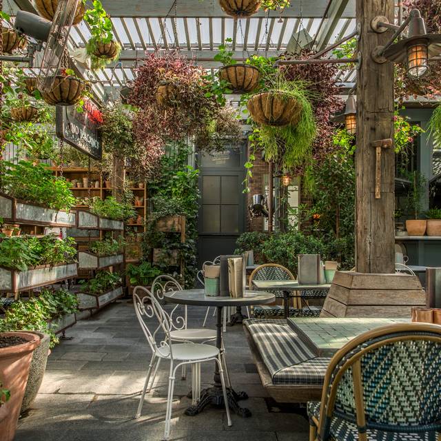The Potting Shed Restaurant - Alexandria, AU-NSW | OpenTable