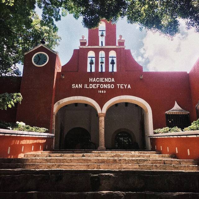 Hacienda Teya Restaurante - Kanasín, YUC | OpenTable