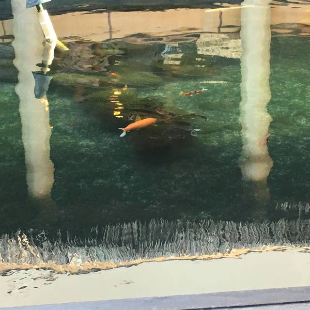 tidepools-grand-hyatt-kauai-restaurant-poipu-hi-opentable