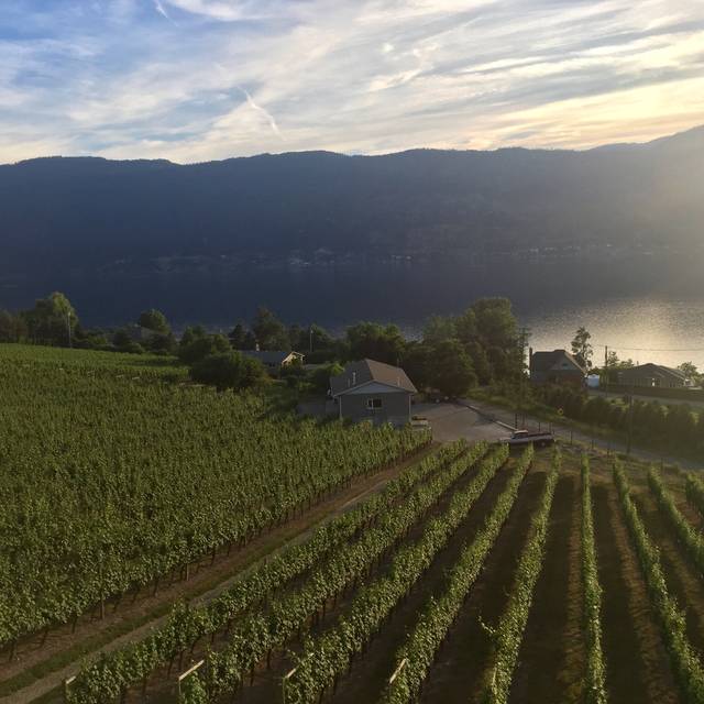 Grapevine Restaurant and Patio at Gray Monk Estate Winery Lake