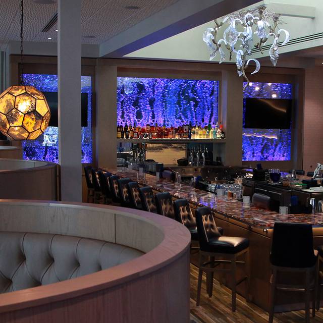 Sacred Pepper Restaurant Tampa, FL OpenTable