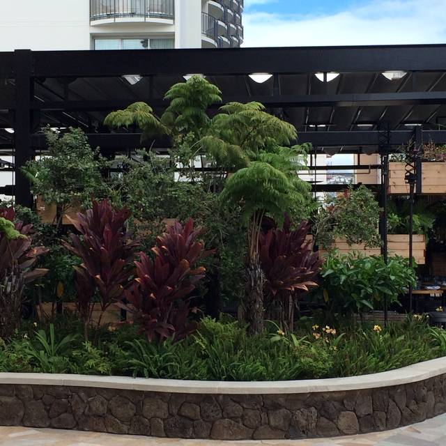 Herringbone Waikiki Restaurant Honolulu, HI OpenTable