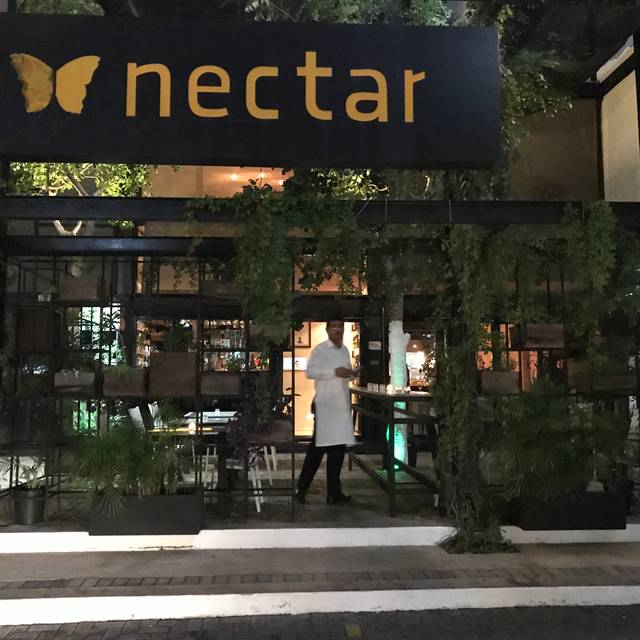 nectar cafe intsa njk nectar cafe intsa njk