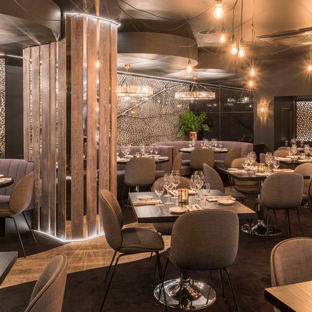 Gaucho Piccadilly - London, | OpenTable