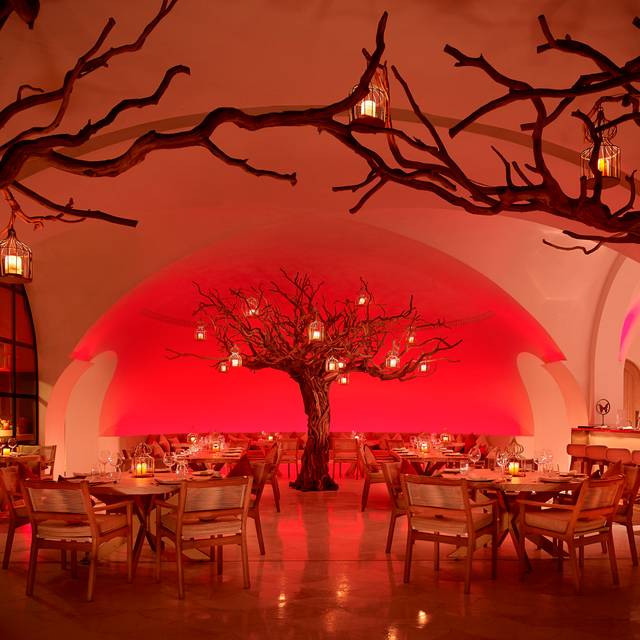 Arbol at Las Ventanas Restaurant San Jose del Cabo, BCS OpenTable