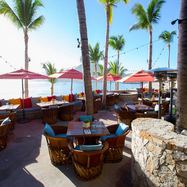 Hacienda Cocina y Cantina Restaurant - Cabo San Lucas, BCS | OpenTable